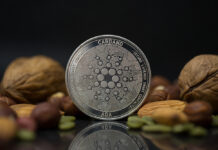 Cardano Blockchain und die Kryptowährung ADA ADA Kryptowährungen, Cardano Blockchain, Krypto, Crypto