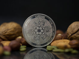 Cardano Blockchain und die Kryptowährung ADA ADA Kryptowährungen, Cardano Blockchain, Krypto, Crypto