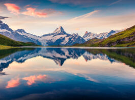 Die Entwicklung des Schweizer Frankens