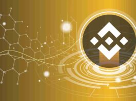 Binance Chain und Binance Coin (BNB) BNB, Binance
