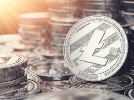 Litecoin: Ein Leitfaden für Anleger