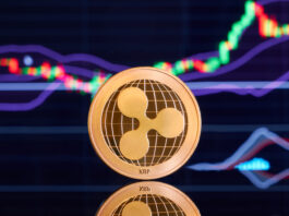 Ripple und XRP: Eine Einführung in ein revolutionäres Finanznetzwerk