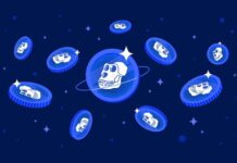 ApeCoin: Die Kryptowährung für die digitale Kunst und Kultur Apecoin Cryptocurrency Coins