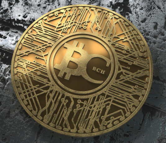 Bitcoin Cash: Eine umfassende Betrachtung von Entstehung, Funktionsweise und Zukunftsperspektiven BCH Coin, Crypto