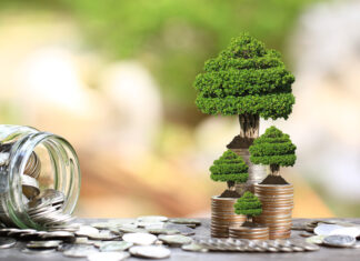 Budgeterstellung vor der Pensionierung: Eine umfassende Anleitung Buget Pensionierung