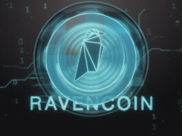 Ravencoin: Eine Kryptowährung zur Verbesserung der Peer-to-Peer-Übertragung von Vermögenswerten Ravencoin RVN Logo, Krypto