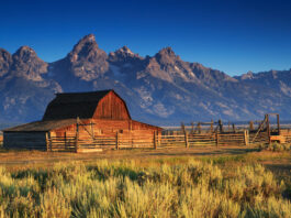 Jackson Hole Economic Symposium Jackson Hole Economic Symposium