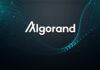 Algorand und seine Blockchain Technologie