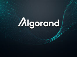 Algorand und seine Blockchain Technologie