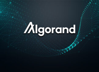 Algorand und seine Blockchain Technologie