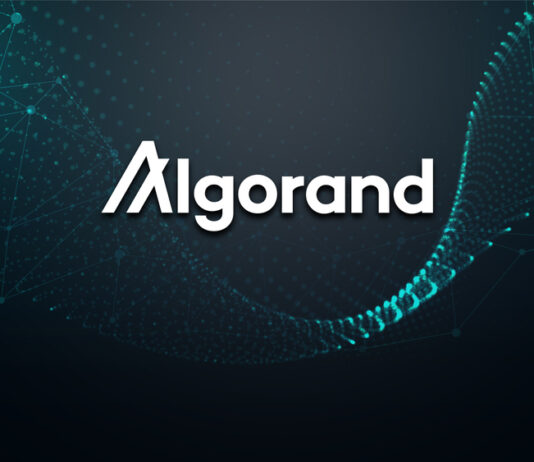 Algorand und seine Blockchain Technologie